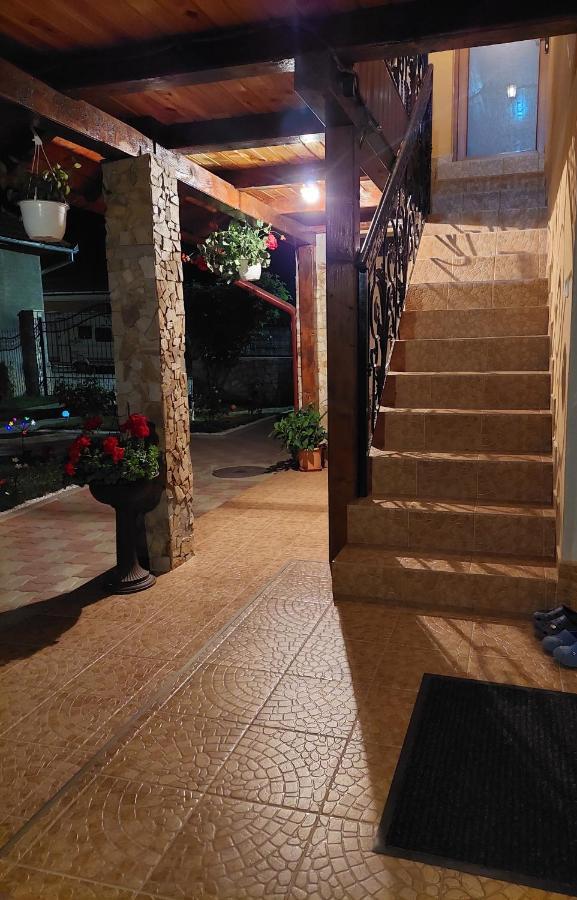 Casa Cristina Hotel Cîrţişoara Exterior foto