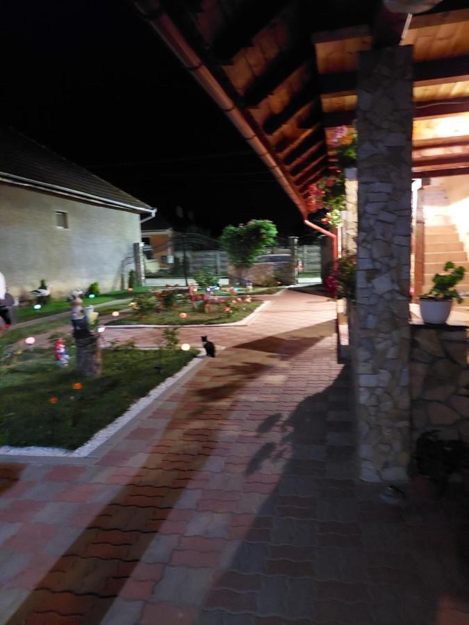 Casa Cristina Hotel Cîrţişoara Exterior foto