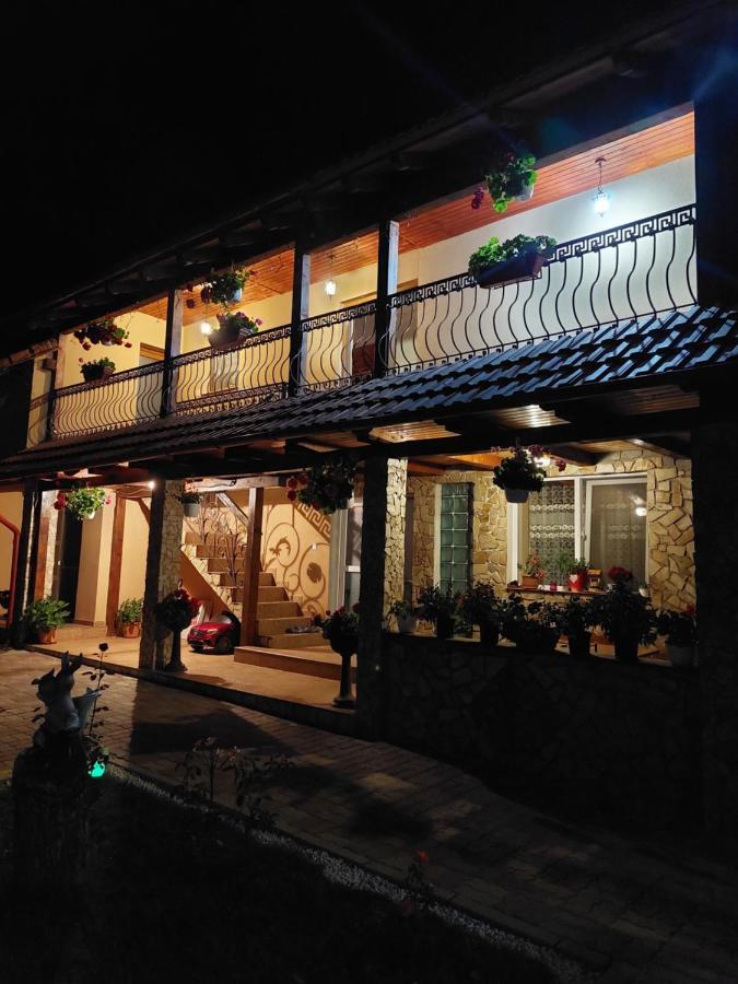 Casa Cristina Hotel Cîrţişoara Exterior foto