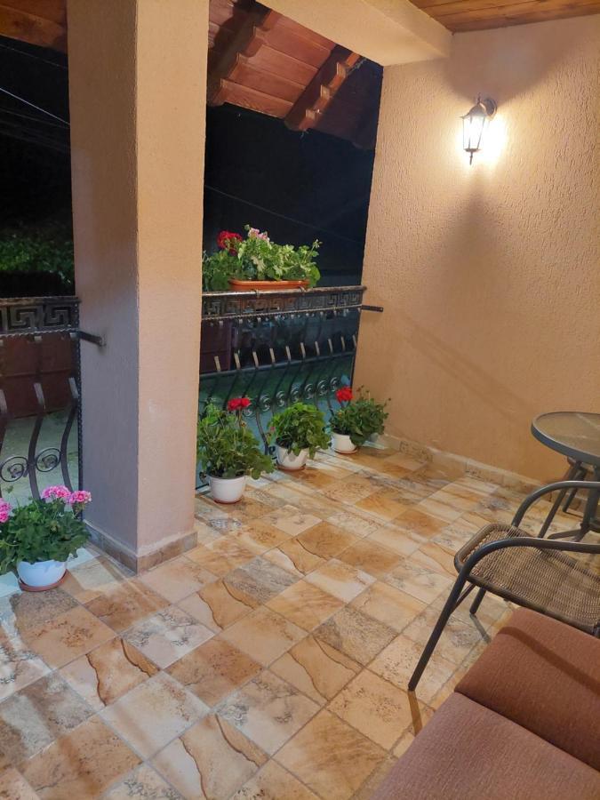 Casa Cristina Hotel Cîrţişoara Exterior foto
