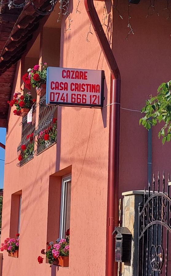 Casa Cristina Hotel Cîrţişoara Exterior foto