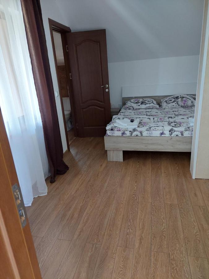 Casa Cristina Hotel Cîrţişoara Exterior foto