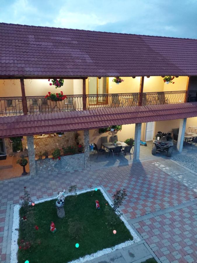Casa Cristina Hotel Cîrţişoara Exterior foto