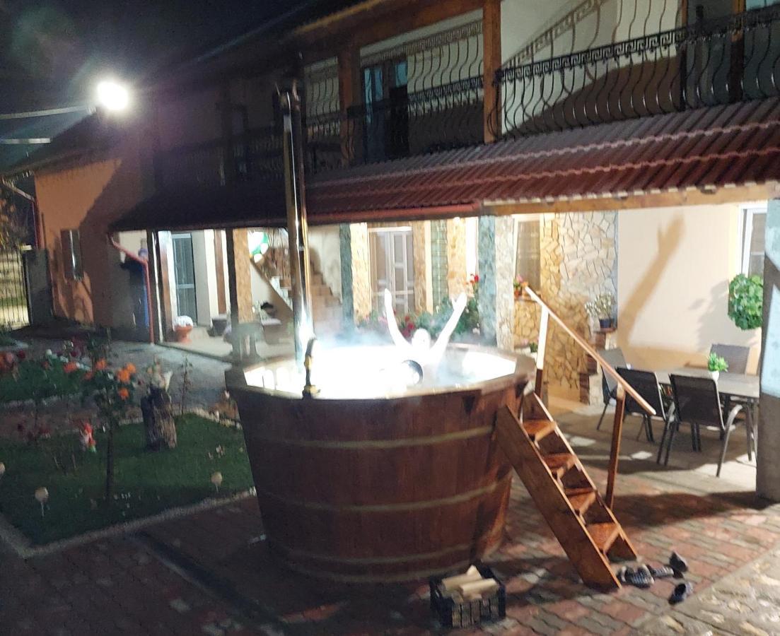 Casa Cristina Hotel Cîrţişoara Exterior foto