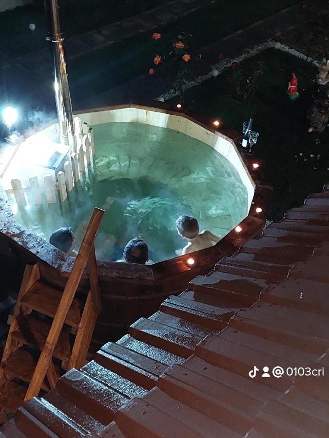 Casa Cristina Hotel Cîrţişoara Exterior foto