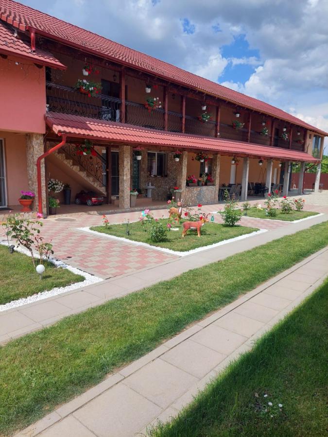 Casa Cristina Hotel Cîrţişoara Exterior foto