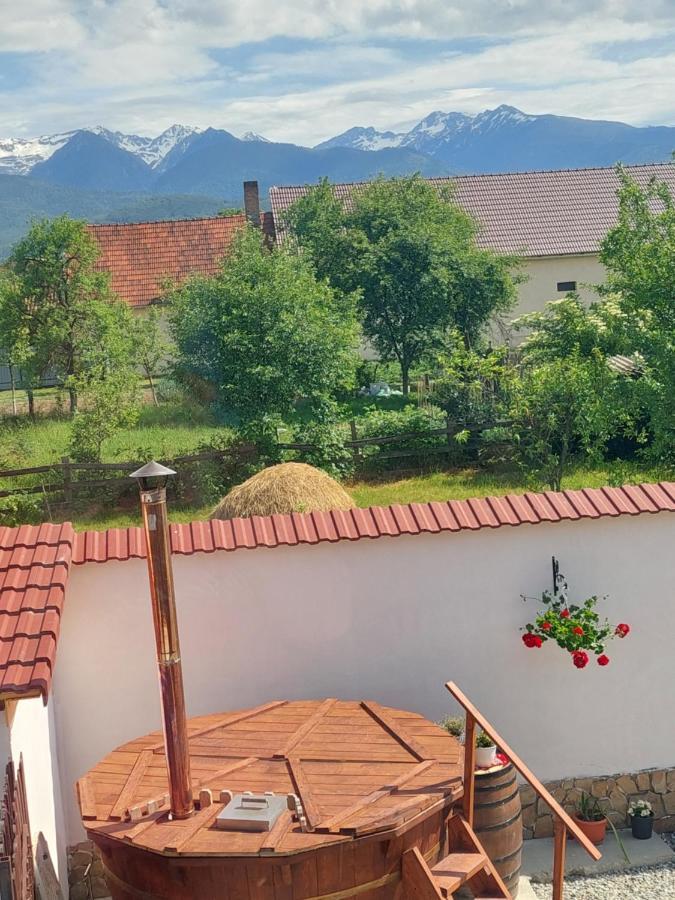 Casa Cristina Hotel Cîrţişoara Exterior foto