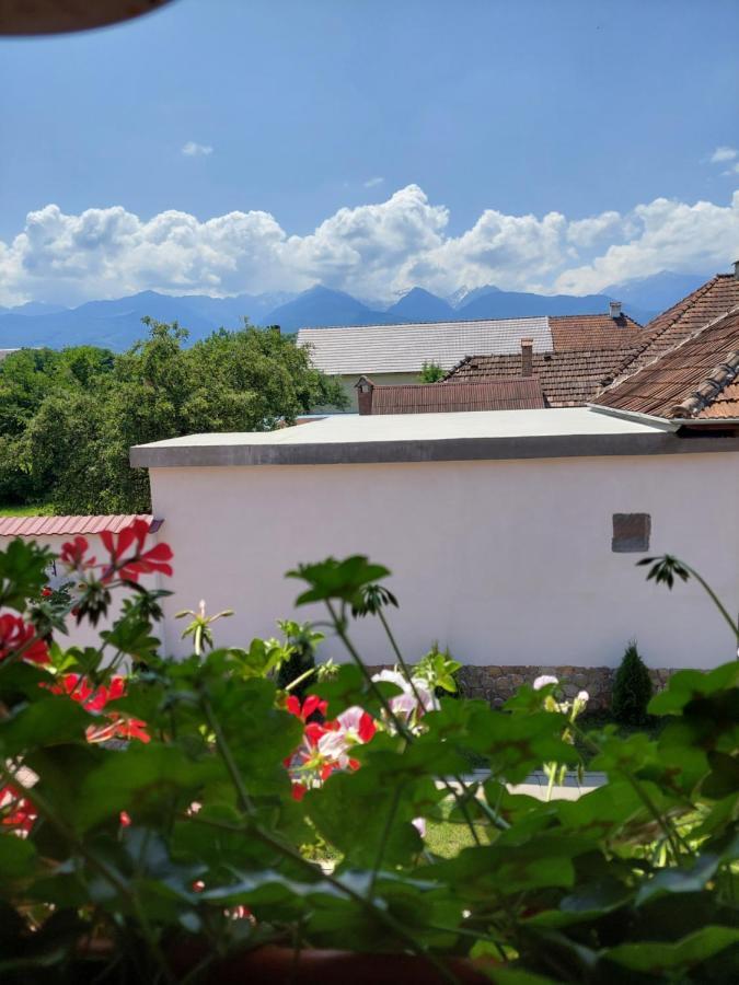 Casa Cristina Hotel Cîrţişoara Exterior foto