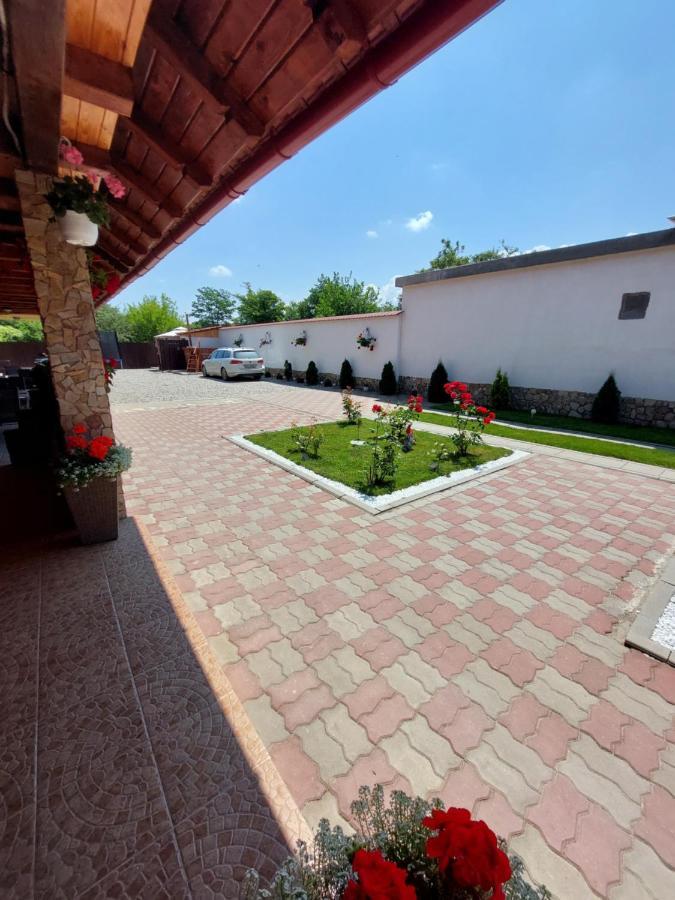 Casa Cristina Hotel Cîrţişoara Exterior foto