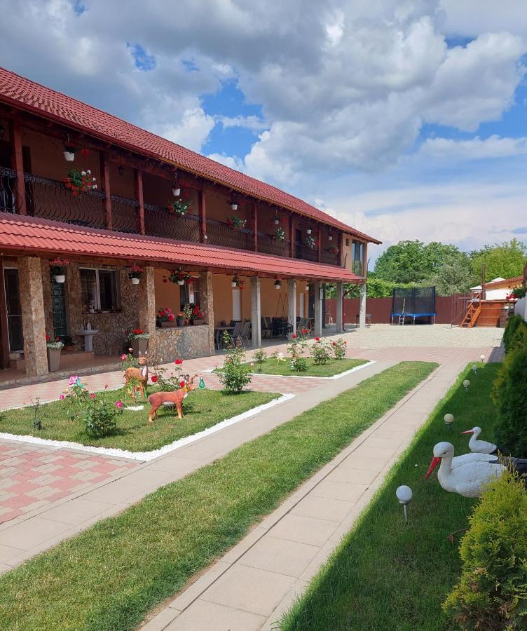 Casa Cristina Hotel Cîrţişoara Exterior foto