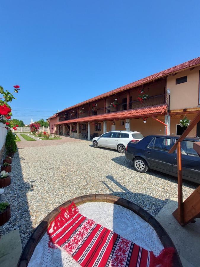 Casa Cristina Hotel Cîrţişoara Exterior foto