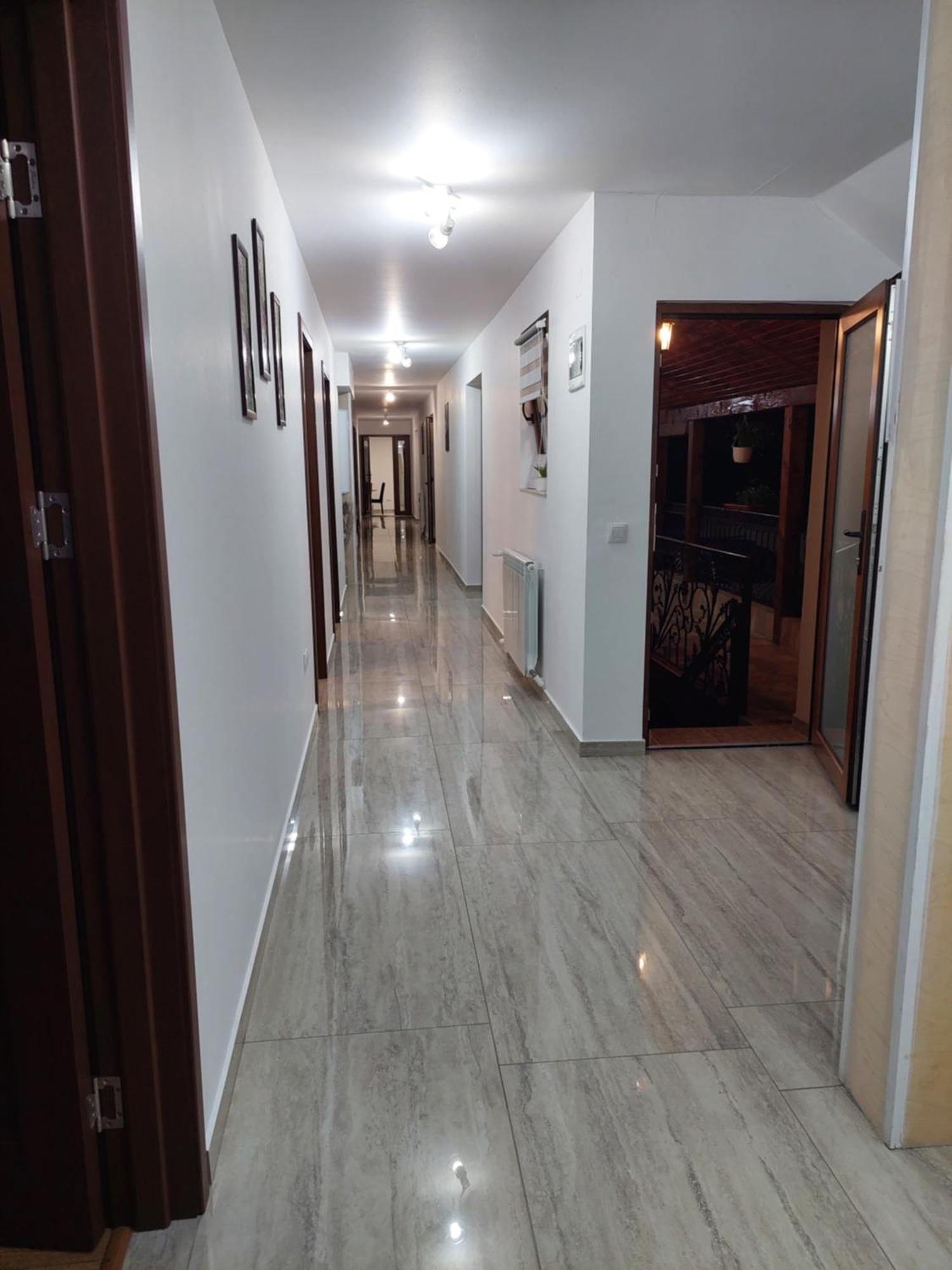 Casa Cristina Hotel Cîrţişoara Exterior foto